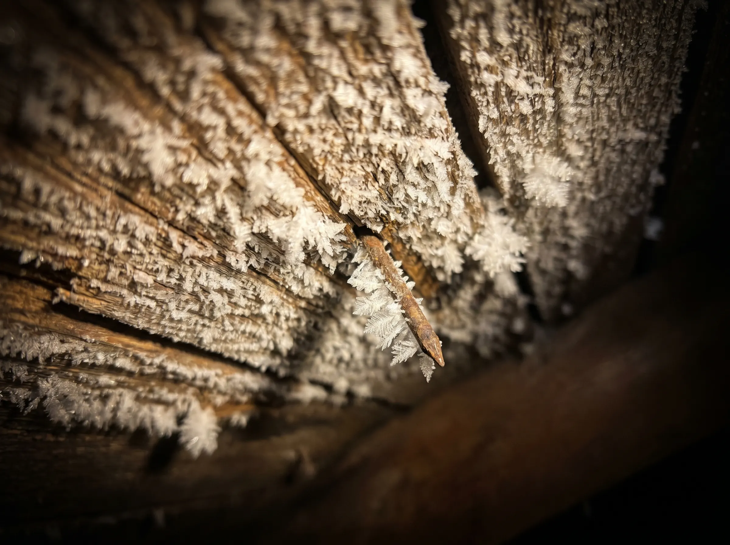 Frost crystals on the underside of an attic roof deck