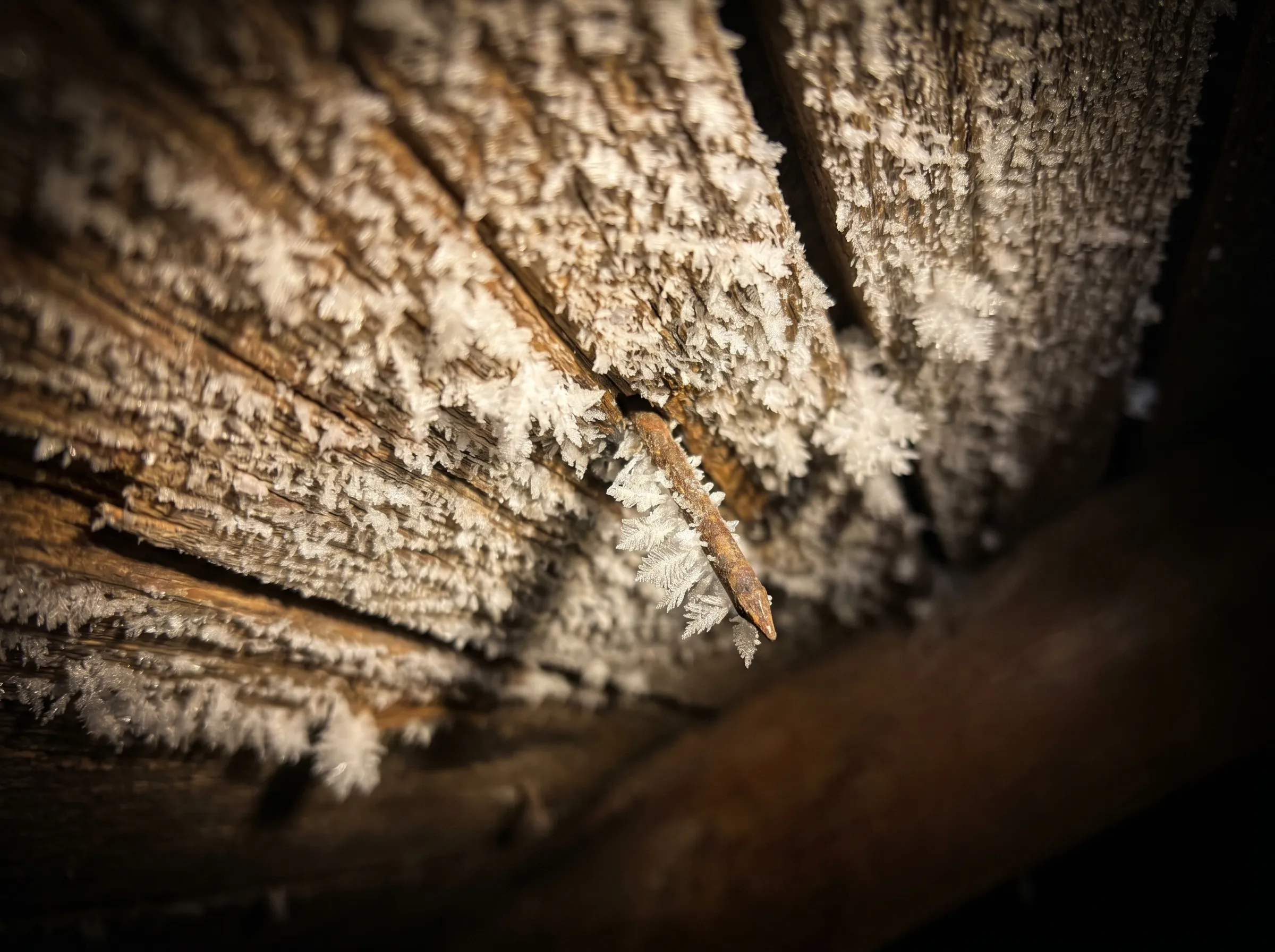 Frost crystals coating the underside of an attic roof deck, lit by a headlamp