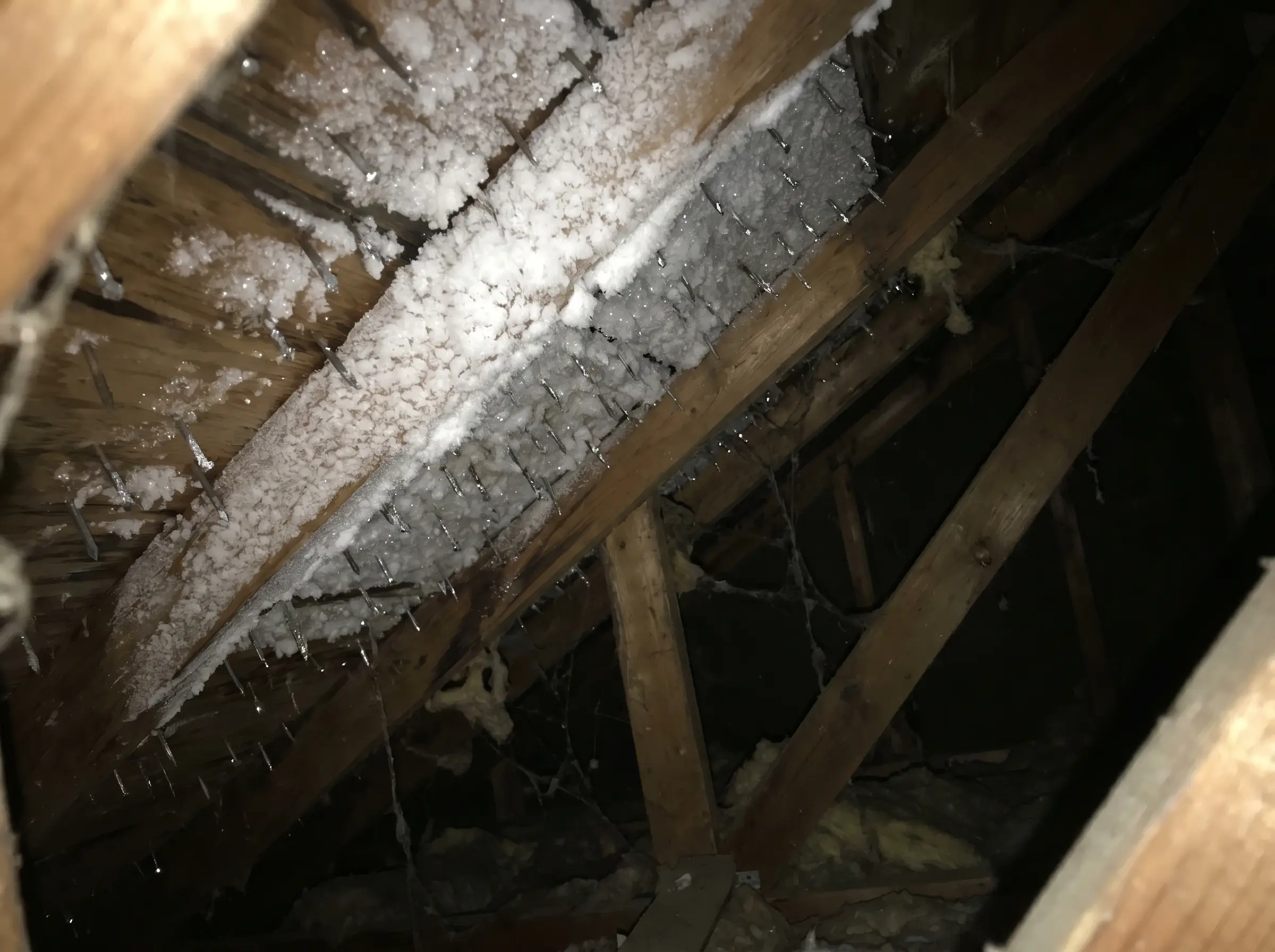 Raw photo: thick frost coating the underside of the roof deck and nail tips