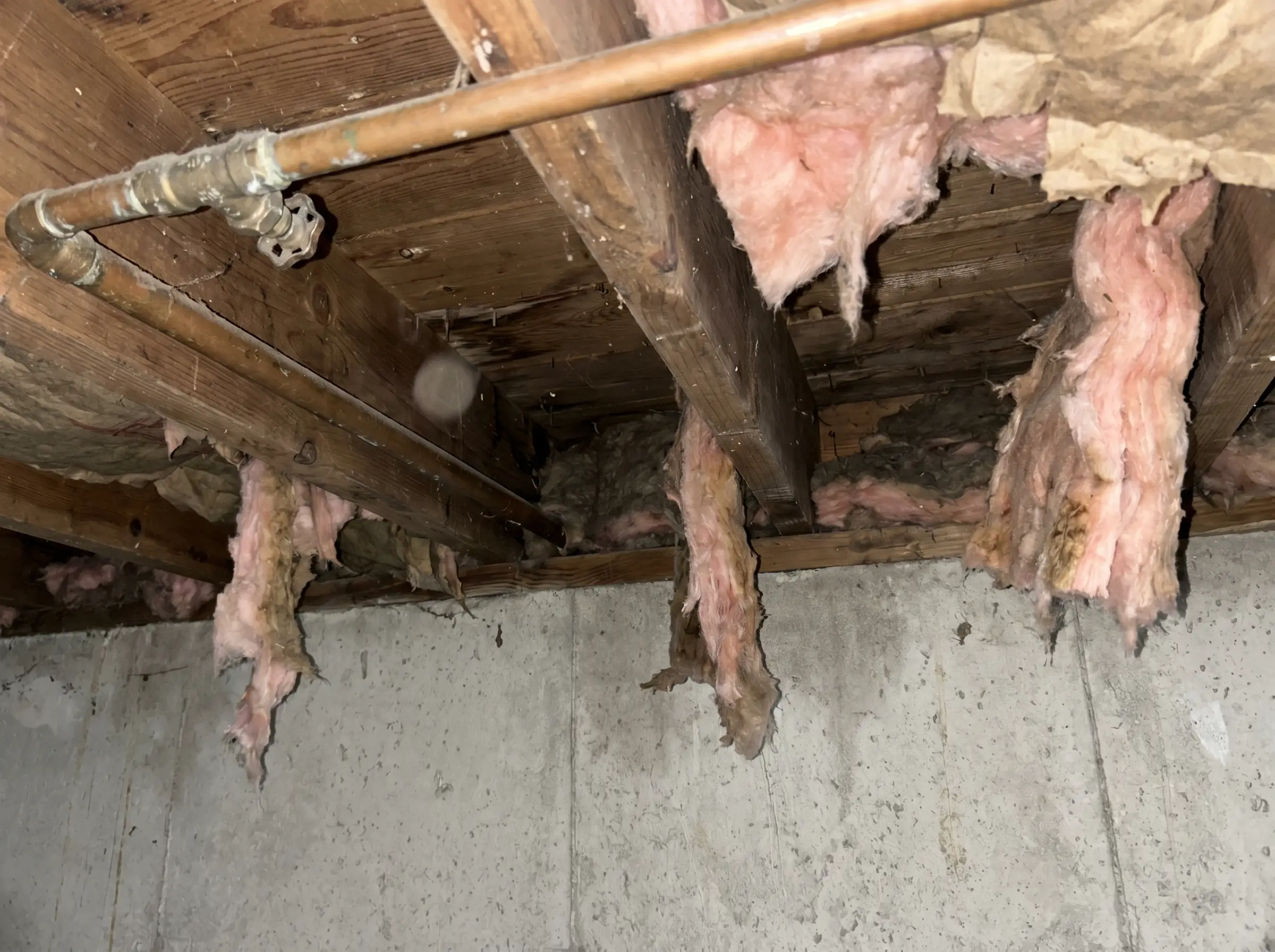 Raw photo: bare rim joist cavity in a basement