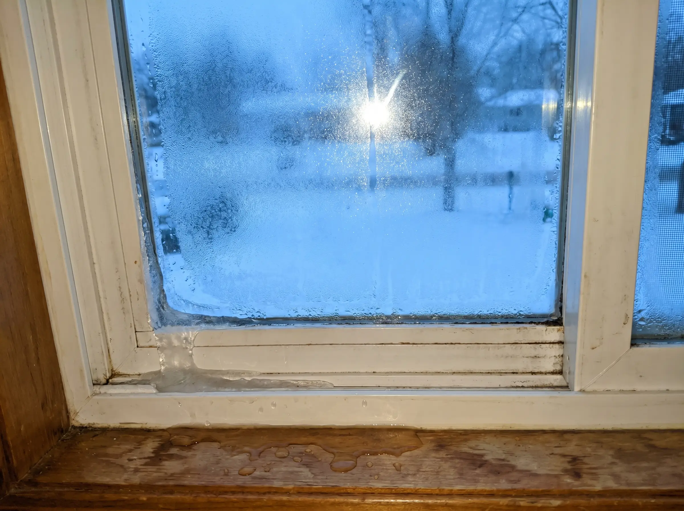 Raw photo: condensation and ice on an older window corner